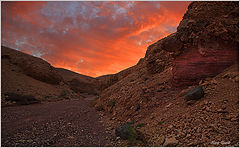 photo "Red Canyon"