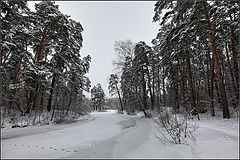 фото "зимний день"