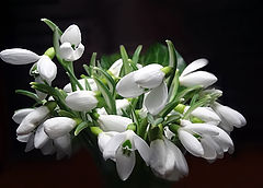 photo "***"