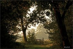 photo "***"