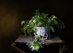 фото "...белой черемухи гроздья душистые..."