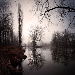 photo "early morning on the river"