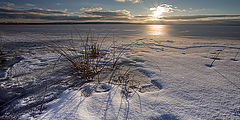 photo "***"