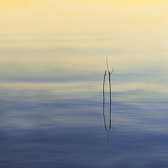 фото "Наедине"