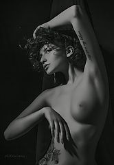 фото "The graceful harmony of the portrait."