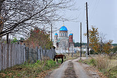 фото "Сельская зарисовка"