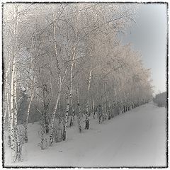 фото "***"