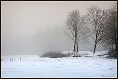 photo "***"