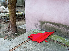photo "***"