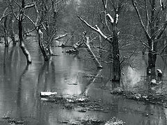photo "***"