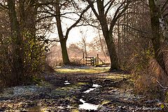 photo "***"