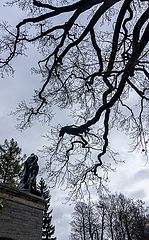 фото "Екатерининский парк"
