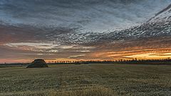 фото "Осенние заготовки"