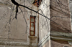 фото "***"