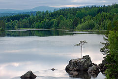 photo "***"
