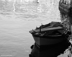 фото "in a corner of the port"