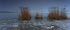 photo "***"