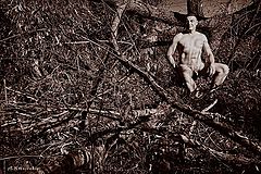 фото "Lumberjack Aesthetics. All you need to know ....."