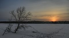 фото "Про закаты-силуэты"