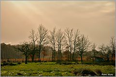 photo "***"