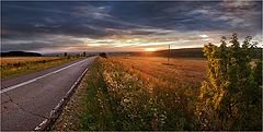 фото "..."