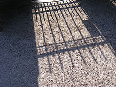фото "Shadow"