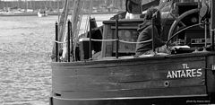 фото "in the port"