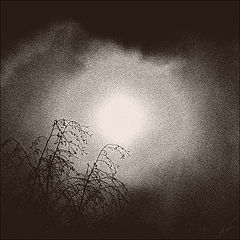 photo "***"