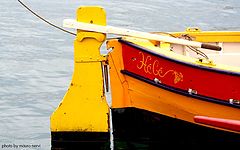 фото "in the port"