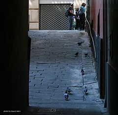 фото "alley"