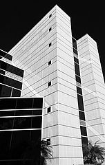 фото "***"