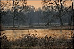 photo "***"