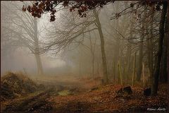 photo "***"