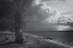 фото "***"