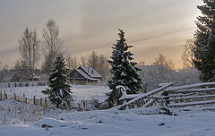 фото "Зимний день"