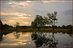 photo "***"