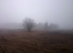 фото "Не гоняясь за туманами."