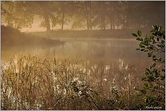 photo "***"
