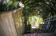 photo "***"