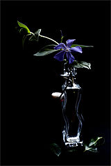 photo "***"