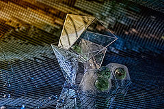 photo "***"