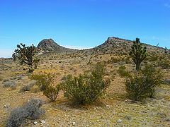 фото "Mojave Landscape"