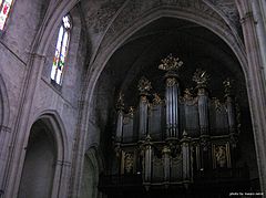 фото "in the cathedral"