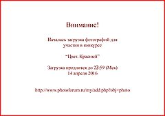photo "***"