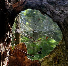 photo "Window to Europe"