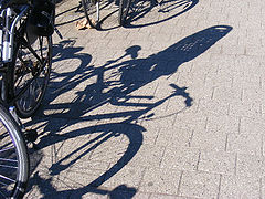 фото "Shadow"