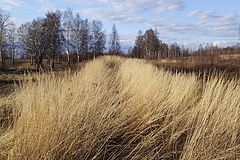 фотоальбом "пейзаж"