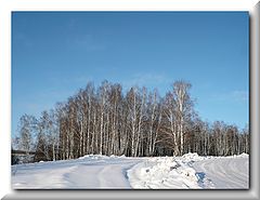 фото "Зимние берёзки в Дивеево."