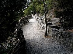 photo "Golitsyn's track"