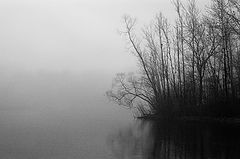 фото "fog"